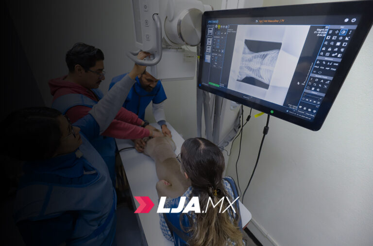 Hospital Veterinario de Pequeñas Especies cerró el 2025 con más de 5,200 servicios otorgados