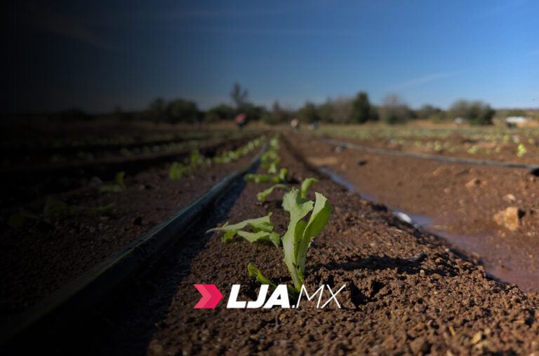 Gobierno del Estado de Aguascalientes apoya a productores para tecnificar el riego de cultivos