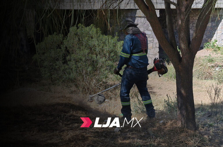 Megaoperativo municipal de limpieza en Calvillito