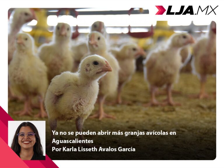 Ya no se pueden abrir más granjas avícolas en Aguascalientes
