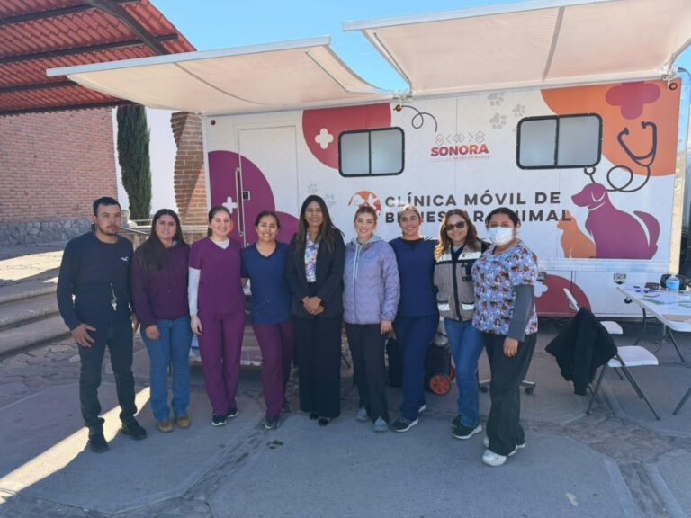 Bienestar Animal impulsa jornada gratuita de esterilización en Bacerac