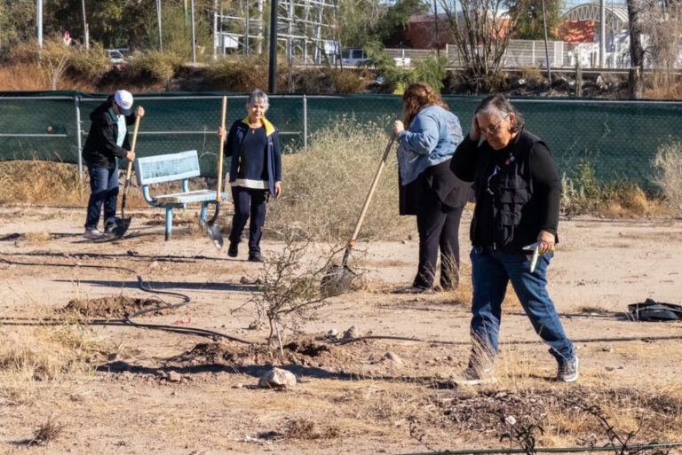 Gran participación durante el fin de semana en el Bosque Urbano La Sauceda