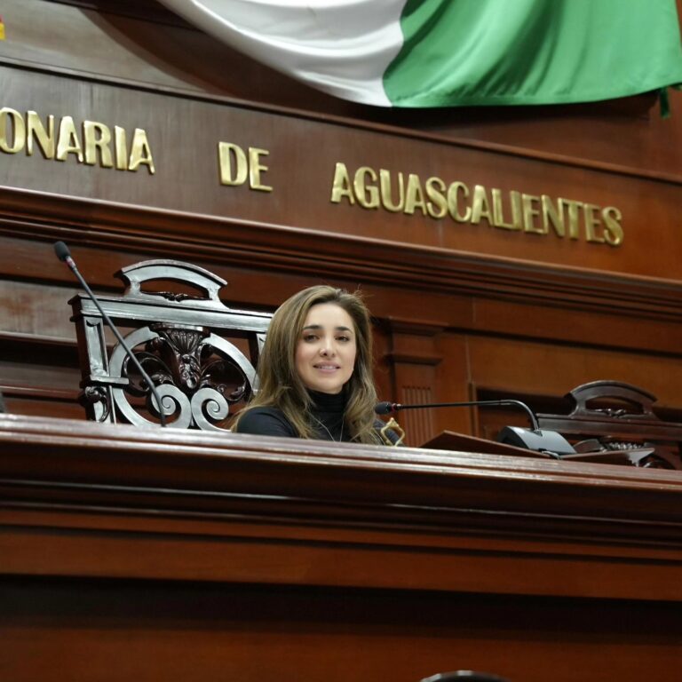 Quieren un auditor a modo para no rendir cuentas, advierte Alejandra Peña