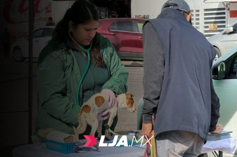 Realizarán jornada de esterilización felina y canina en el oriente de la ciudad en Aguascalientes