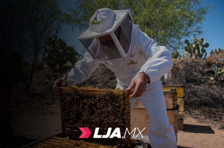 En Aguascalientes se acercan oportunidades de empleo a todos los rincones del estado