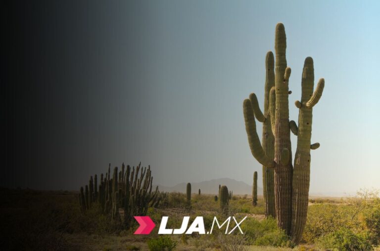 Promueven nueva carrera y modelo flexible para trabajadores de la región fronteriza en Sonora