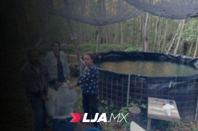 Acompañamiento técnico fortalece la producción de trucha arcoíris en Chilpancingo en Guerrero