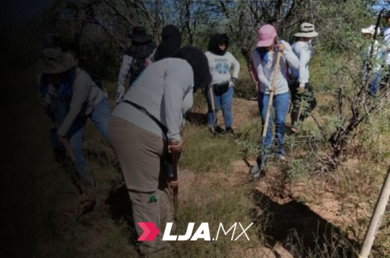 Localizan más de mil fosas clandestinas en México durante los últimos años de gobierno de AMLO