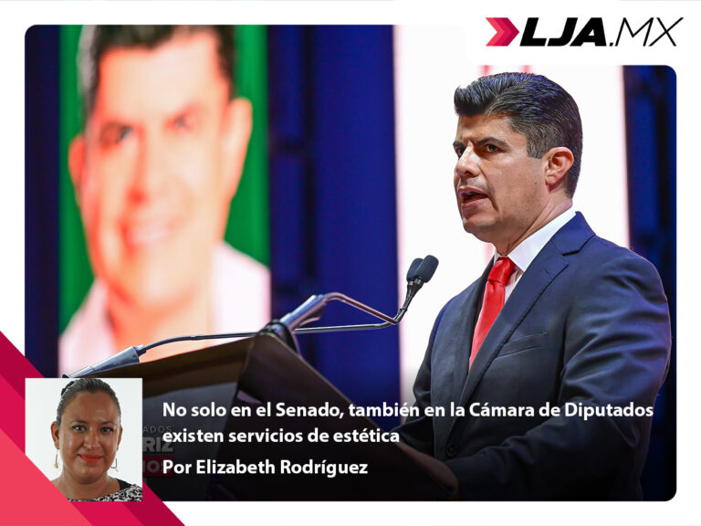 No solo en el Senado, también en la Cámara de Diputados existen servicios de estética