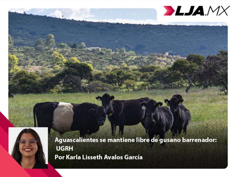 Aguascalientes se mantiene libre de gusano barrenador: UGRH