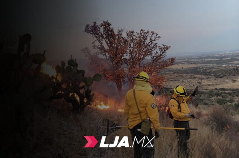Continúan labores para la liquidación total del incendio en el Cerro del Picacho