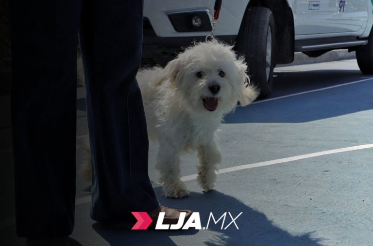 Caravana de Salud Canina y Felina acerca servicios veterinarios gratuitos a Paseos de Aguascalientes