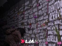 Refugios de mujeres violentadas en México están en riesgo por falta de presupuesto: RNR