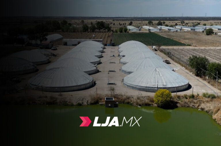 Pescado de calidad producido en Aguascalientes para esta Cuaresma