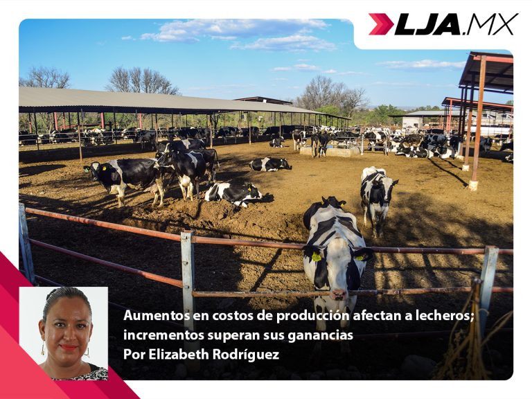 Aumentos en costos de producción afectan a lecheros; incrementos superan sus ganancias