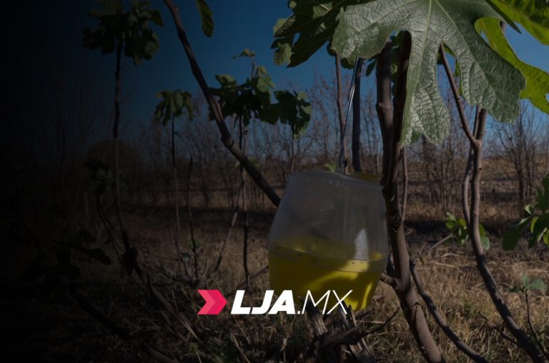 Herencia invisible: ¿están los xenobióticos y el agua detrás de la crisis renal en Aguascalientes? Fernando Medrano / NW Aguascalientes